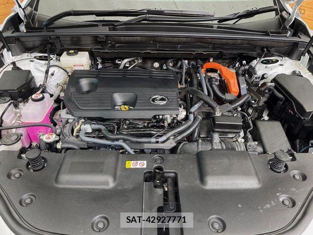 Lexus NX 2025-03 8830008-18