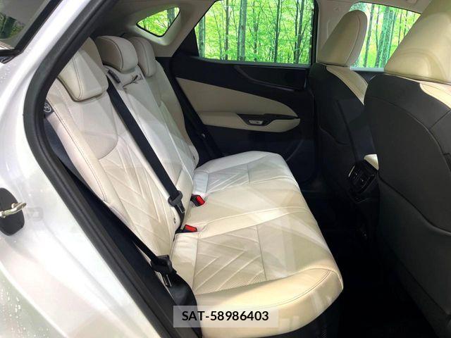 Lexus NX 2025-04 8849601-14