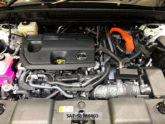 Lexus NX 2025-04 8849601-15