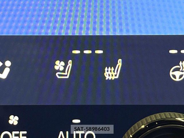 Lexus NX 2025-04 8849601-5