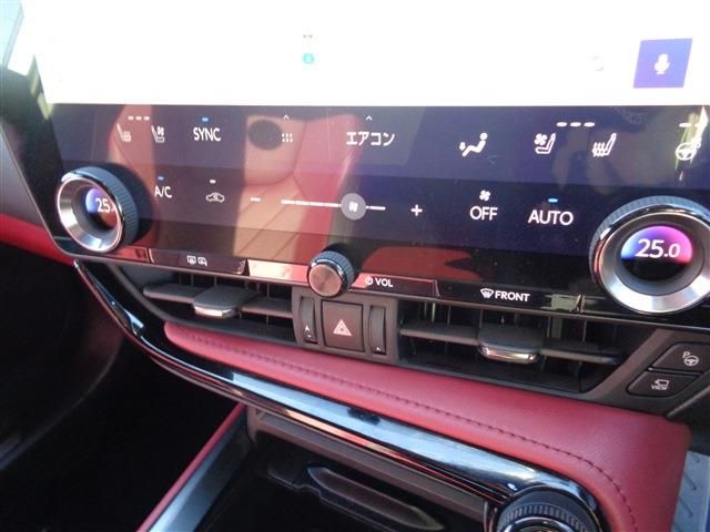 Lexus NX 2024-04 1586196-23