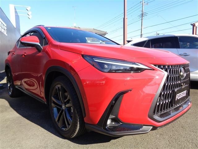 Lexus NX 2024-04 1586196-2
