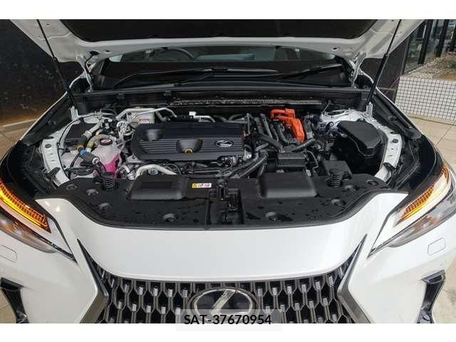Lexus NX 2023-09 6011821-9