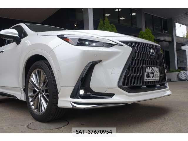 Lexus NX 2023-09 6011821-14