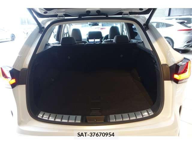 Lexus NX 2023-09 6011821-6