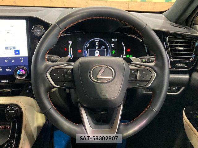 Lexus NX 2021-12 6676707-10