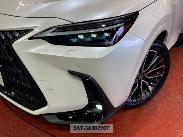 Lexus NX 2021-12 6676707-11