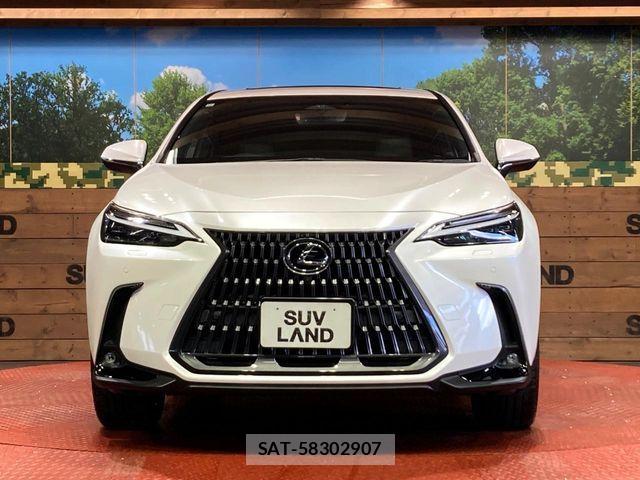 Lexus NX 2021-12 6676707-13
