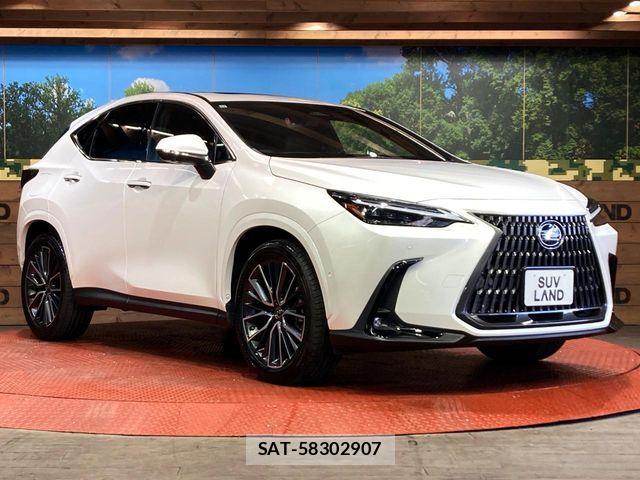 Lexus NX 2021-12 6676707-15
