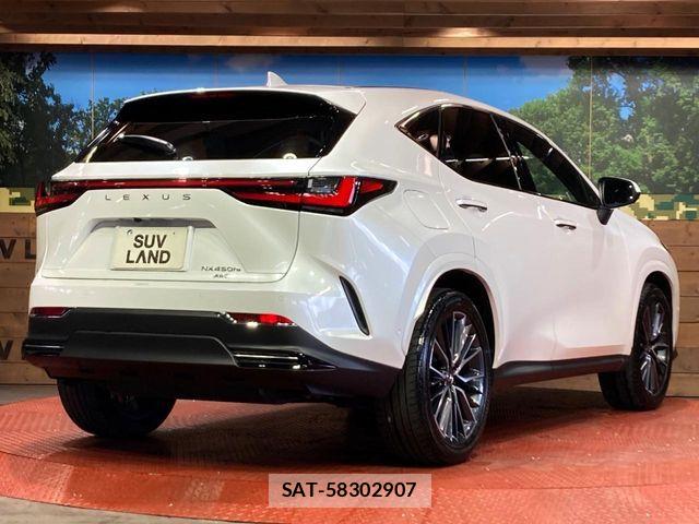 Lexus NX 2021-12 6676707-16