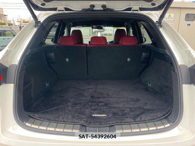 Lexus NX 2023-07 7251354-10