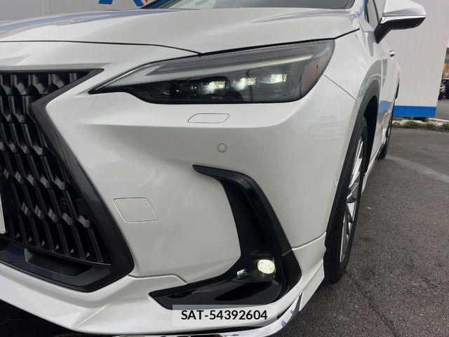 Lexus NX 2023-07 7251354-13