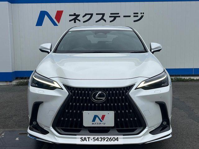 Lexus NX 2023-07 7251354-14