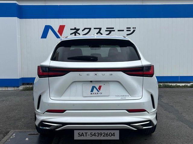 Lexus NX 2023-07 7251354-15