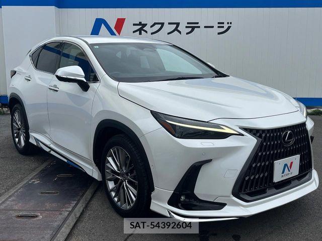 Lexus NX 2023-07 7251354-16