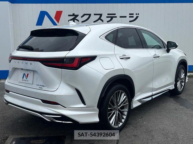 Lexus NX 2023-07 7251354-17