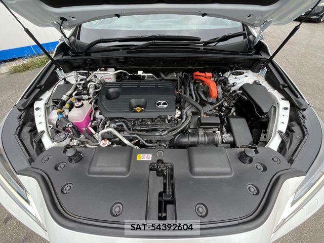 Lexus NX 2023-07 7251354-18