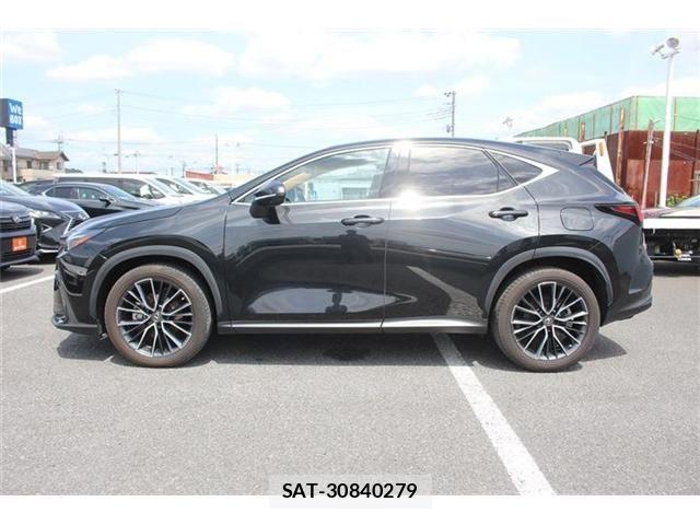 Lexus NX 2022-10 7251355-10