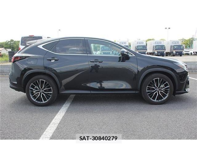 Lexus NX 2022-10 7251355-12
