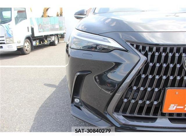 Lexus NX 2022-10 7251355-14