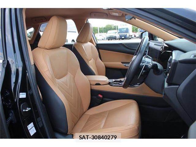 Lexus NX 2022-10 7251355-21