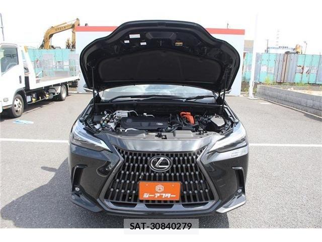 Lexus NX 2022-10 7251355-28