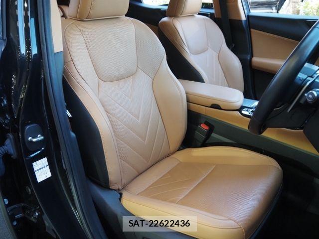 Lexus NX 2023-07 7251351-10