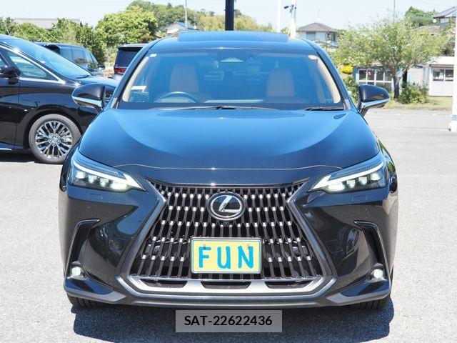 Lexus NX 2023-07 7251351-1