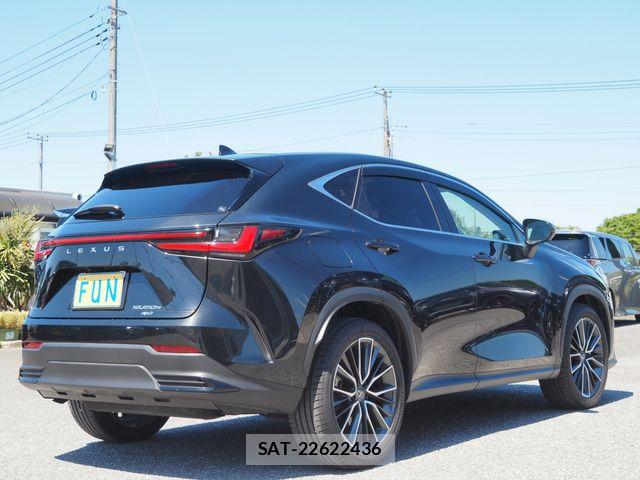 Lexus NX 2023-07 7251351-4