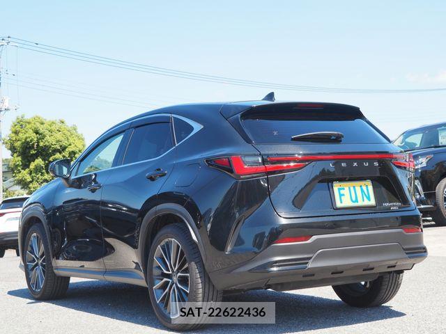 Lexus NX 2023-07 7251351-5