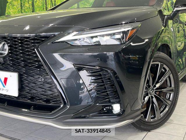 Lexus NX 2022-11 7251352-11