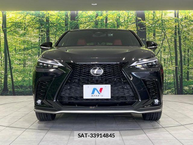 Lexus NX 2022-11 7251352-13