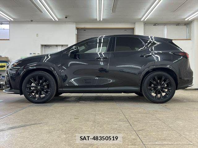 Lexus NX 2023-12 7328077-19