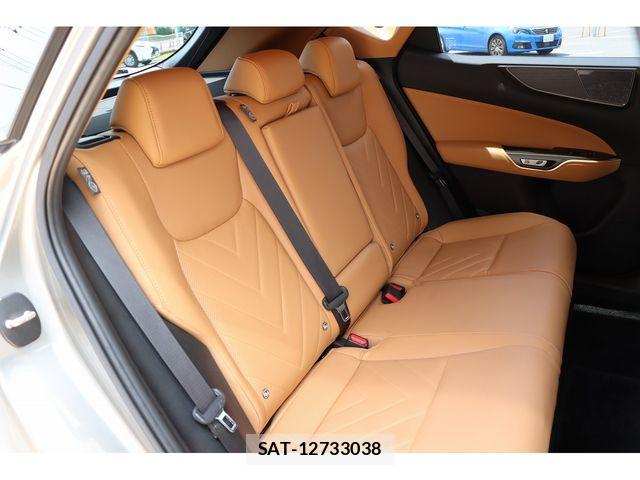 Lexus NX 2023-08 7392699-10
