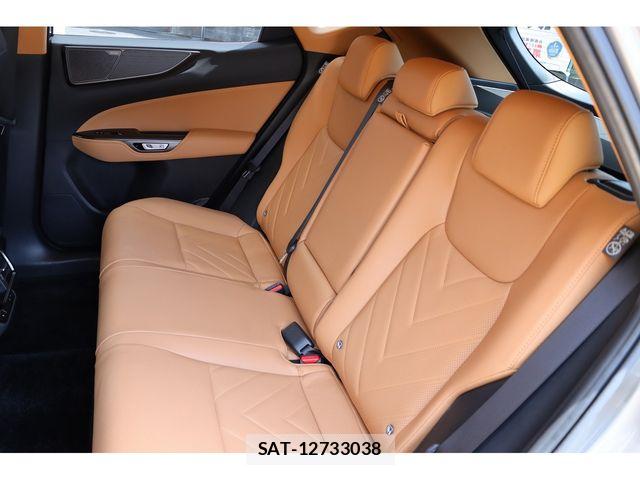 Lexus NX 2023-08 7392699-11