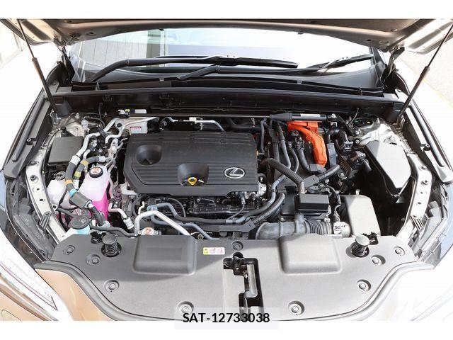 Lexus NX 2023-08 7392699-22