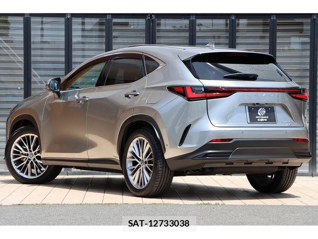 Lexus NX 2023-08 7392699-7