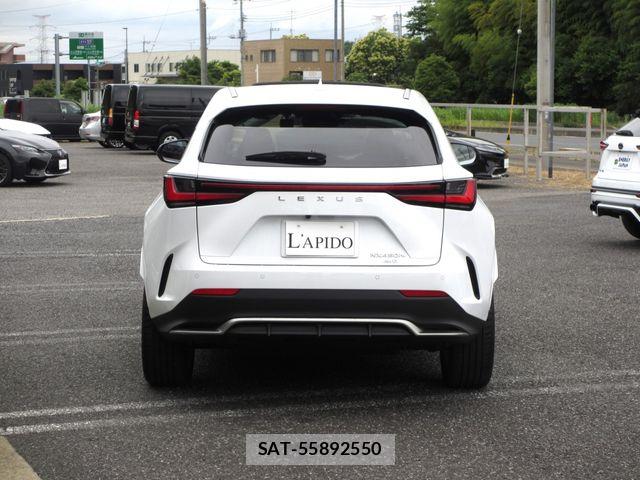 Lexus NX 2022-10 7455455-1