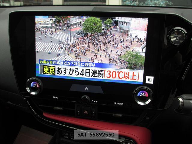 Lexus NX 2022-10 7455455-21
