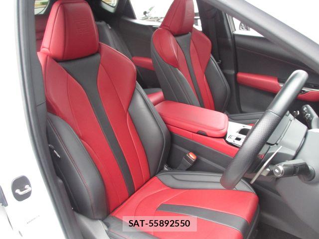 Lexus NX 2022-10 7455455-23