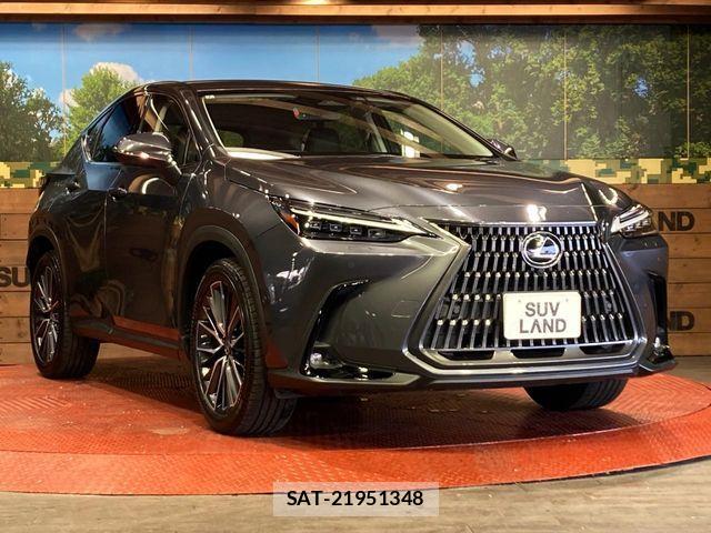 Lexus NX 2022-01 7501318-15