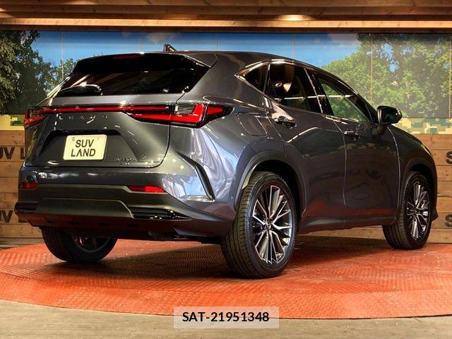 Lexus NX 2022-01 7501318-16