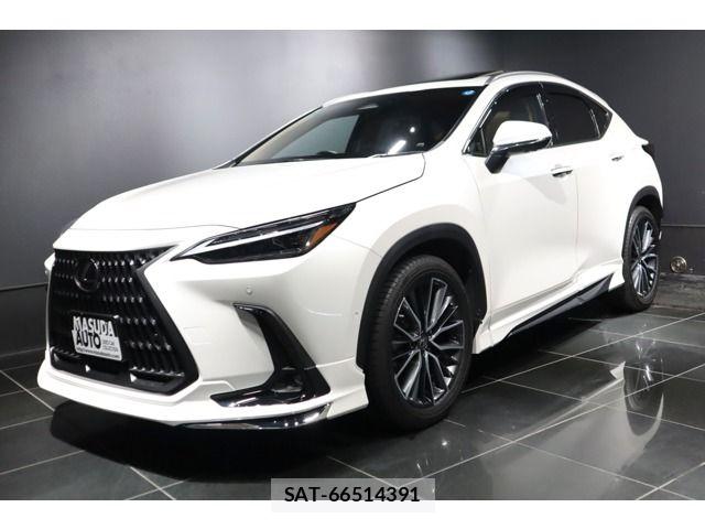Lexus NX 2024-01 7617716-0