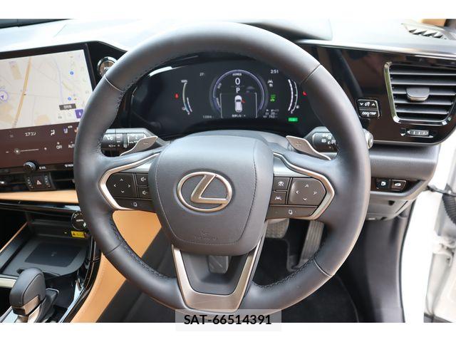 Lexus NX 2024-01 7617716-12
