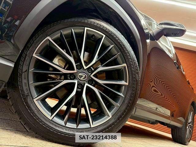 Lexus NX 2023-06 7786609-10
