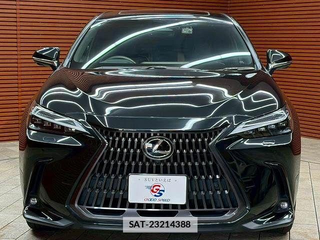 Lexus NX 2023-06 7786609-16