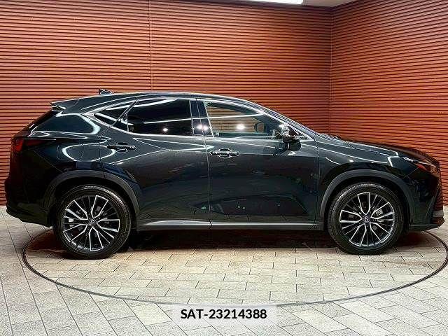 Lexus NX 2023-06 7786609-17