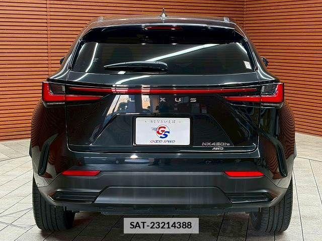 Lexus NX 2023-06 7786609-18