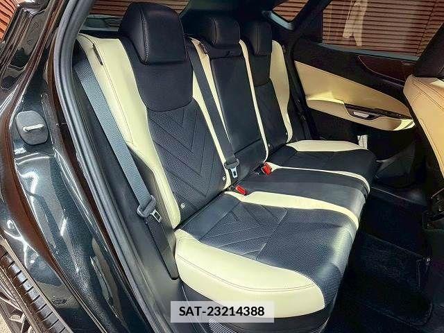 Lexus NX 2023-06 7786609-8