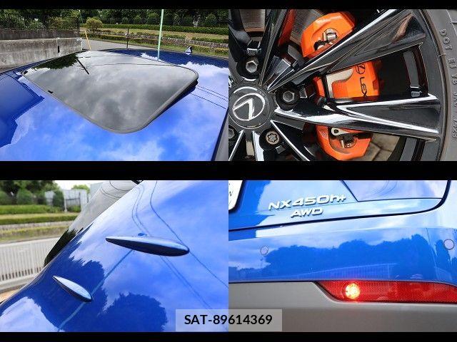 Lexus NX 2023-05 7786612-27